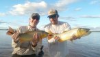 amazing golden dorado fishing