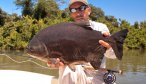 Fly fishing trips for Pacu