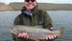 huge rainbow trout