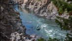 Yellowstone River guided fishing trips