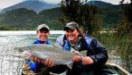 Huge rainbow trout