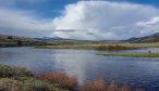 south west montana fly fishing