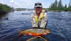 Huge Labrador Brook Trout