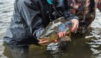 fly fishing patagonia