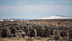 Patagonia fly fishing trips