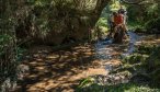 Class 5 horseback ride