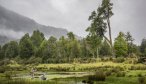 Chile spring creeks