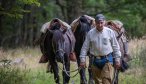 Chilean gaucho