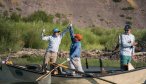 Yellowstone River fly fishing guides