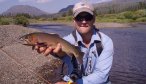 Montana Fishing Guides, Montana Angler