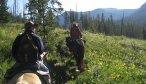 Montana Horse Pack Trips, Montana Angler