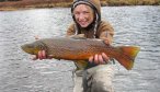 Yellowstone Park Fly Fishing, Montana Angler