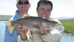montana trout