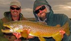 Big Madison Brown Trout