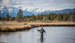 Fly Fishing the Madison River 