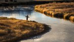 casting on a wade fishing stream