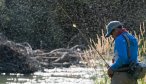 Epic fly fishing hatches in Montana