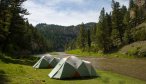 Montana Angler Fly Fishing