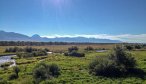 Montana Angler, Madison River Fishing Guides