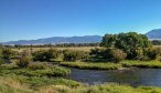 Madison River Fly Fishing, Montana Fishing Accomodations