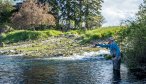 montana guided creek fishing
