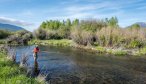fly fishing armstrong creek