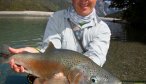 big new zealand brown trout