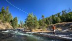 fall fishing on the Gibbon