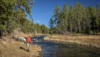best fishing guide in Yellowstone Park