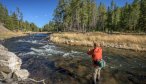 Yellowstone National Park fly fishing guides