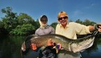 Brazil fly fishing