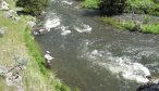Montana Small Stream Fishing