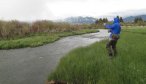 Montana Angler, Montana Fly Fishing