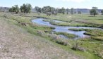 Montana Angler, Montana Fly Fishing