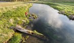 Fly Fishing Montana Spring Creeks