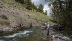 Montana Fly Fishing