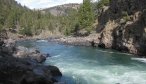 Fly Fishing the Yellowstone River