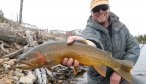 Montana Angler Fly Fishing Destinations