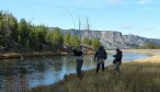 Fly Fishing Yellowstone Park