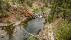 Yellowstone Park Fishing Trips