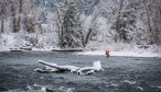 Gallatin River winter fly fishing guides