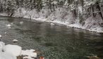 Winter fishing trips