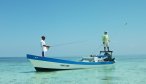 Fly fishing in Belize