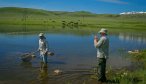 Montana Trophy Trout