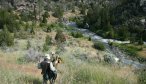 Montana Wade Fly Fishing Trips