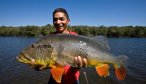 fly fishing amazon