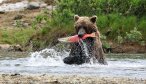 Montana Angler Alaska Hosted Trips
