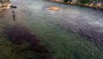 Montana Angler Hosted Trips