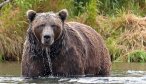 Montana Angler Hosted Trips