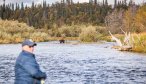 bear in alaska